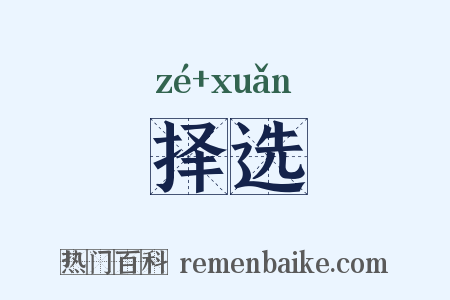 择选是什么意思的图片